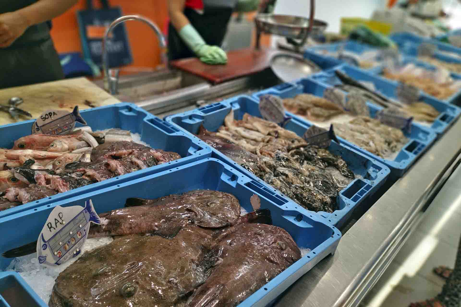 Varios pescados procedentes de Cap de Creus en una pescadería local en el Port de la Selva en Catalunya (España) / Foto: FFM - EA