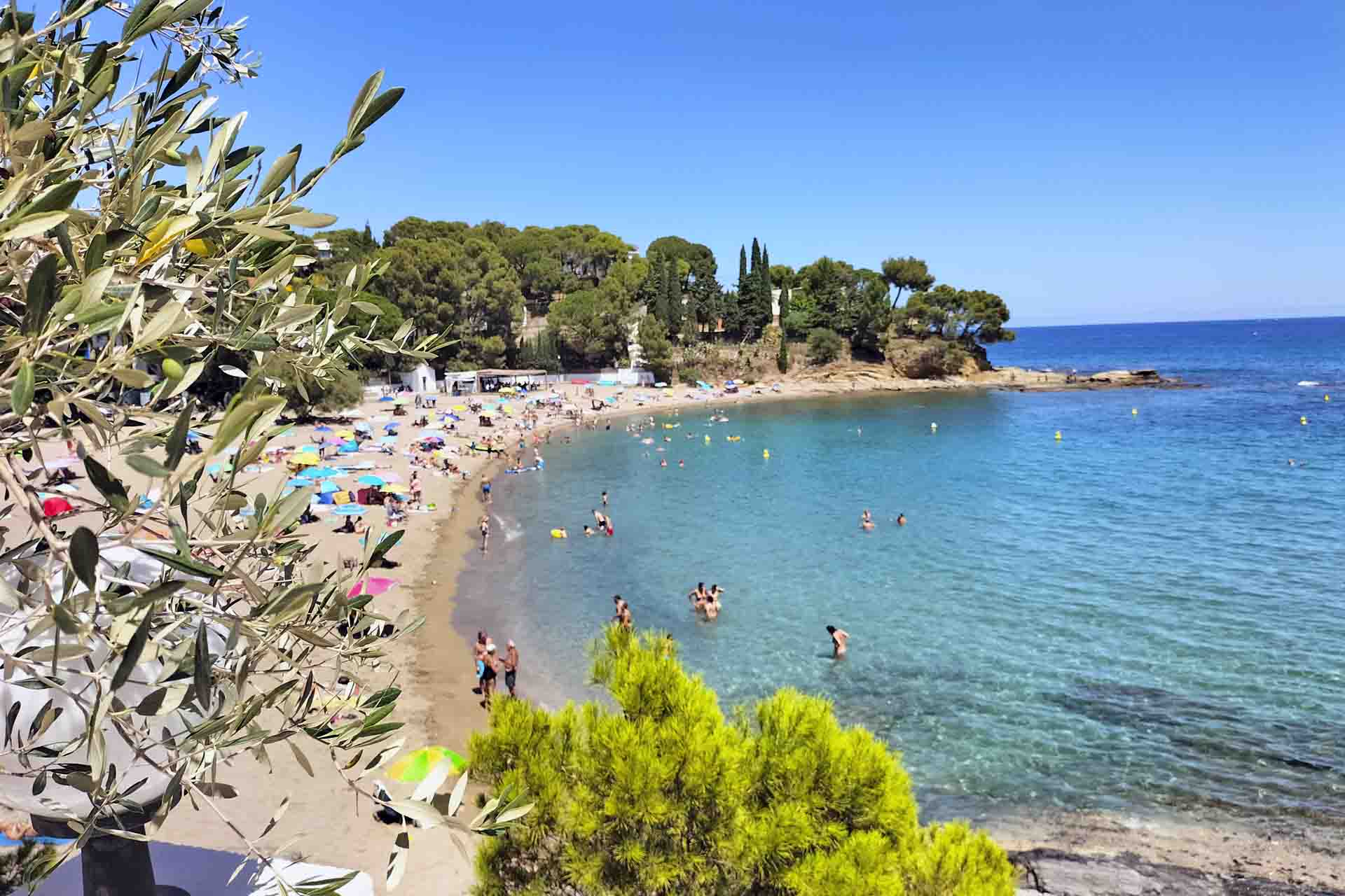 Decenas de bañistas en la Platja Grifeu, en Llançà en Catalunya (España) / Foto: FFM - EA