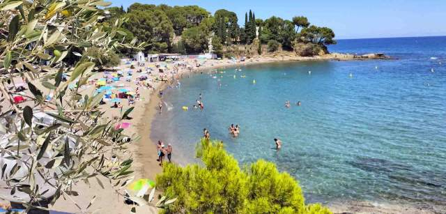 Decenas de bañistas en la Platja Grifeu, en Llançà en Catalunya (España) / Foto: FFM - EA