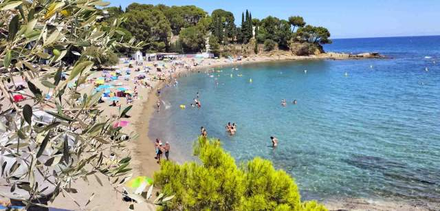 Decenas de bañistas en la Platja Grifeu, en Llançà en Catalunya (España) / Foto: FFM - EA