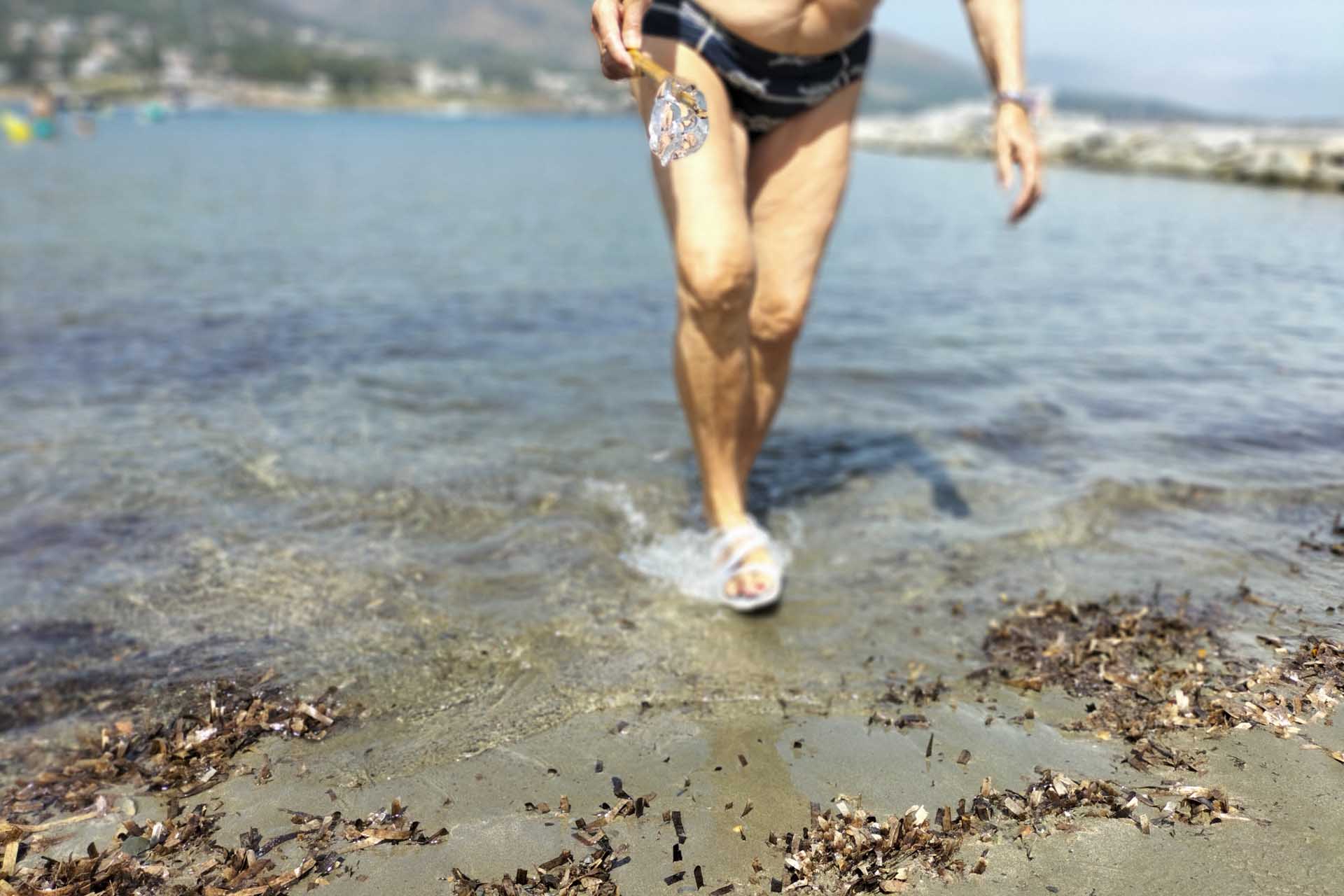 Una persona mayor recoge ejemplares de medusa de ‘Aequorea forskalea’ en la playa principal del Port de la Selva después de un episodio de plaga durante el verano de 2022. Son poco frecuentes en la zona, que normalmente se encuentra en aguas abiertas del Atlántico, Índico, Pacífico, pero también Mediterráneo / Foto: FFM - EA