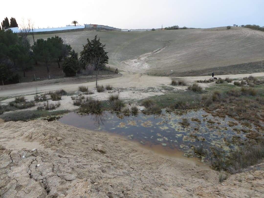 Cauce del arroyo del Barranco obturado por el vertido de tierras