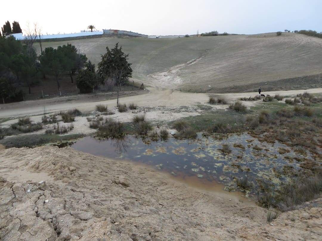 Cauce del arroyo del Barranco obturado por el vertido de tierras Cauce del arroyo del Barranco obturado por el vertido de tierras