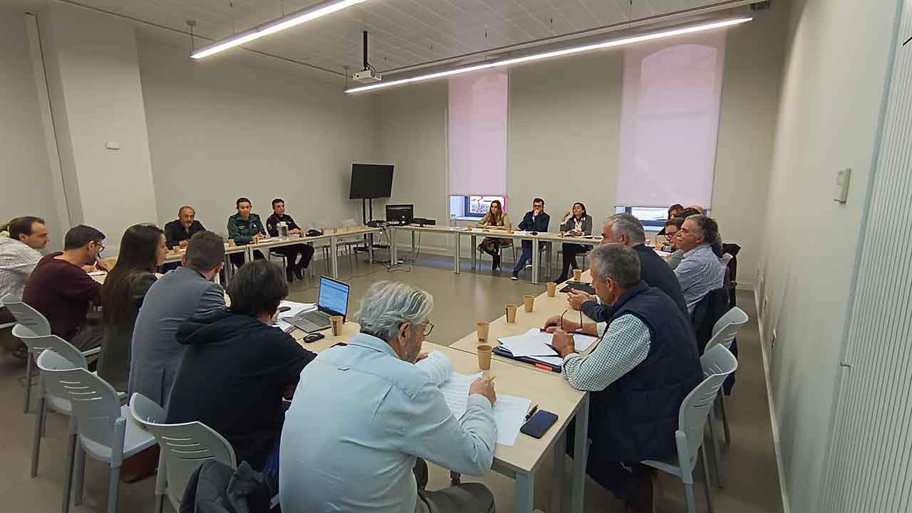 El Consejo Valenciano de Caza presenta un plan de control cinegético de población de jabalí / Foto: GVA