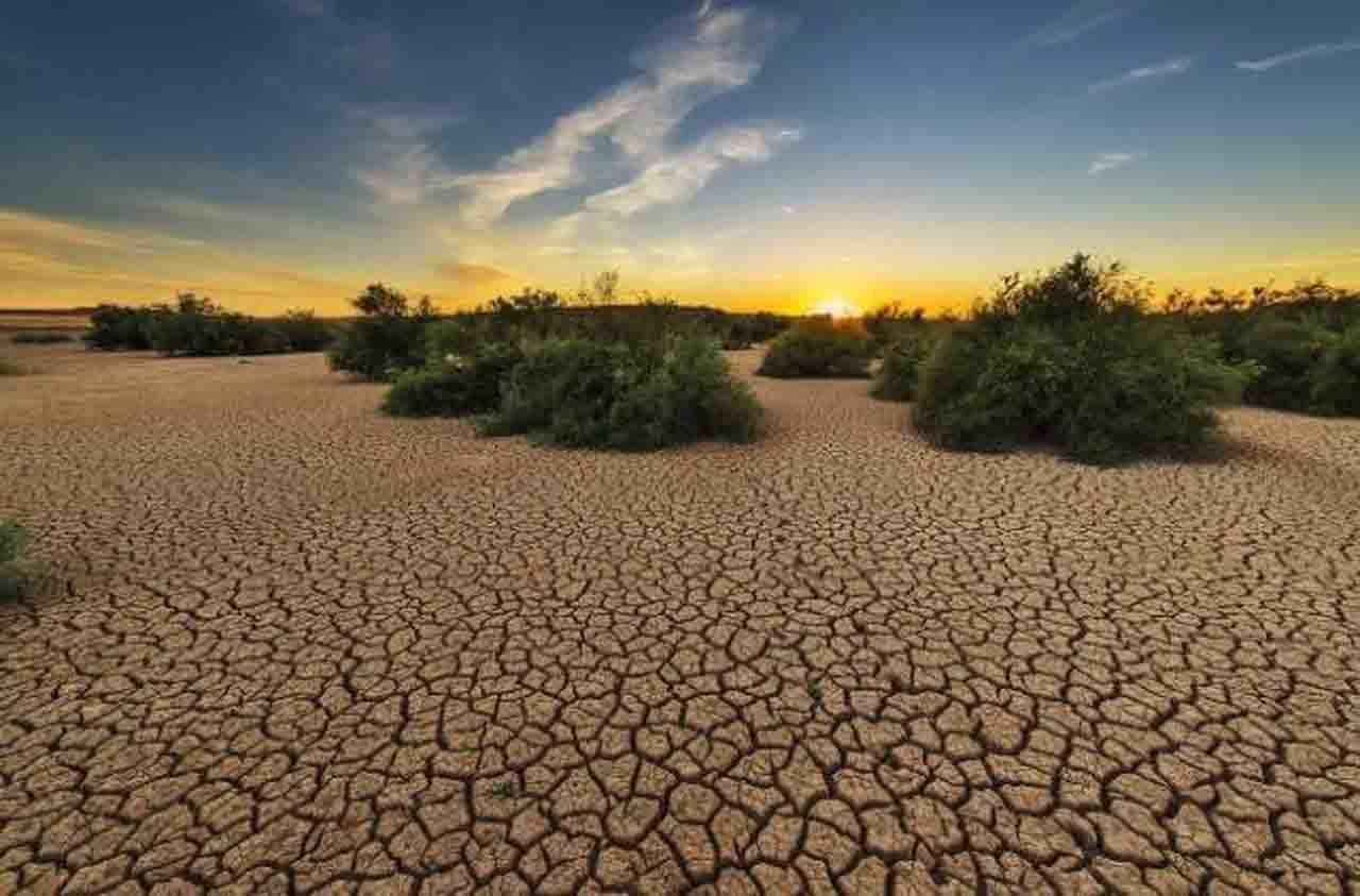 Los estresores ambientales antropogénicos crean sinergias negativas sobre los ecosistemas. Cambio climático / Foto: CSIC