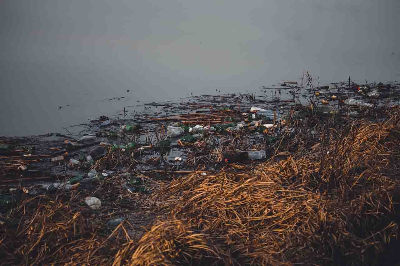 Contaminación en el río Tajo a su paso por la provincia de Toledo. Soluciones basadas en la naturaleza / Foto: EP