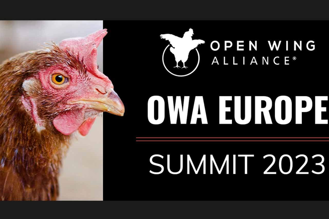 I Cumbre Europea de la Open Wing Alliance para lograr el 100% compromiso empresarial por el bienestar animal y la seguridad alimentaria para 2026 / Imagen: Equalia