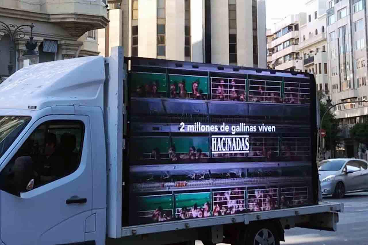 Un vehículo de transporte donde puedes verse la imagen de aves enjauladas en el que puede leerse “2 millones de gallinas Hacinadas” en referencia a la marca blanca de de la cadena de supermercados Mercadona / FOto: Equialia