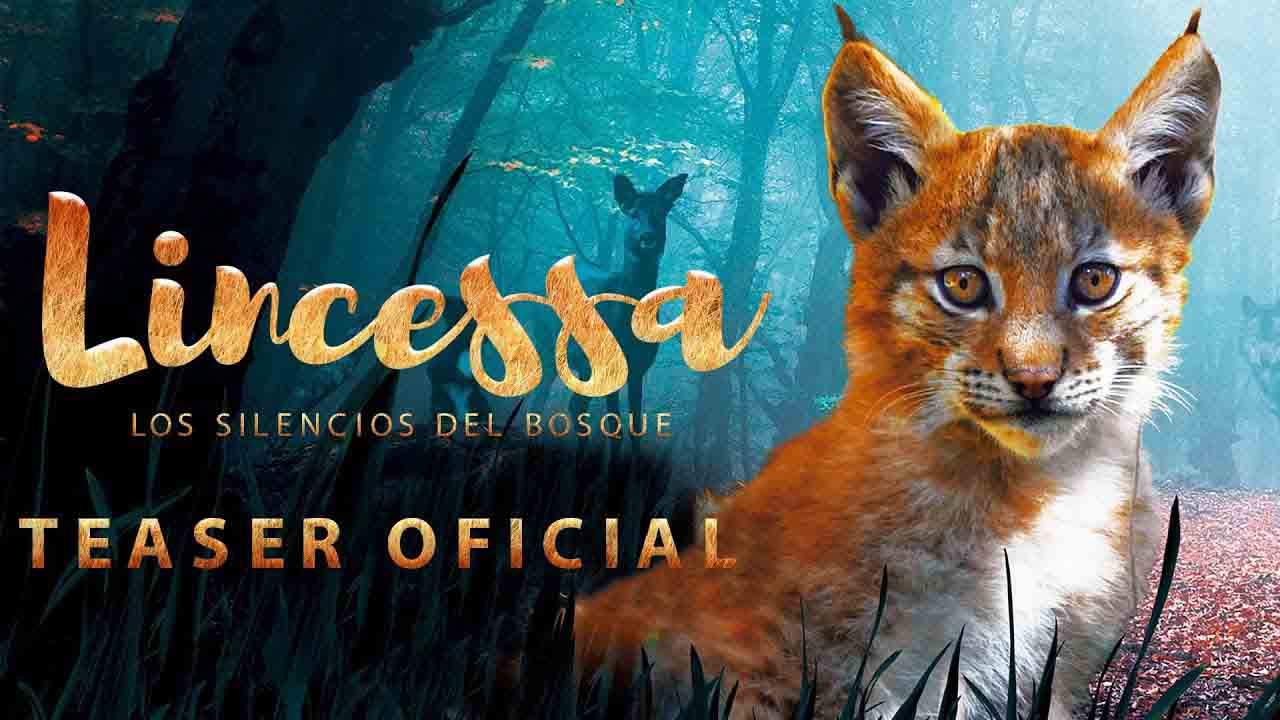 'Lincessa, los silencios del bosque', narra la vida del lince boreal