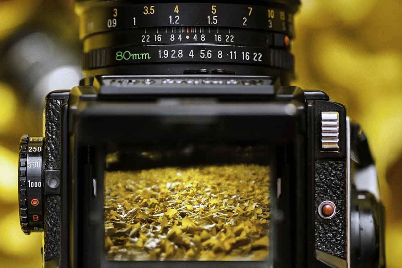 Fotografía medio ambiente