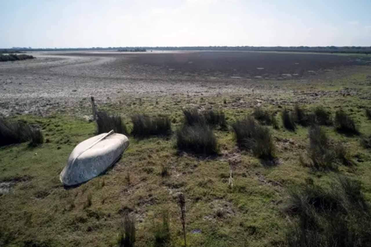 Imagen de archivo de la sequía en Doñana / Foto: EP