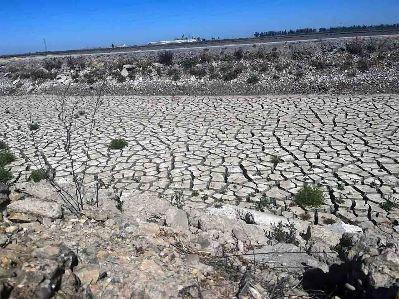 Un canal de riego del arroz seco por falta de agua. Sequía / Foto: EP