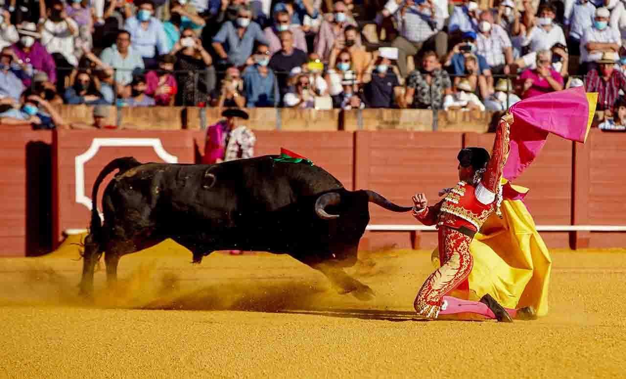 PACMA pide proteger a la infancia de la violencia de los festejos taurinos / Foto: Eduardo Briones - EP