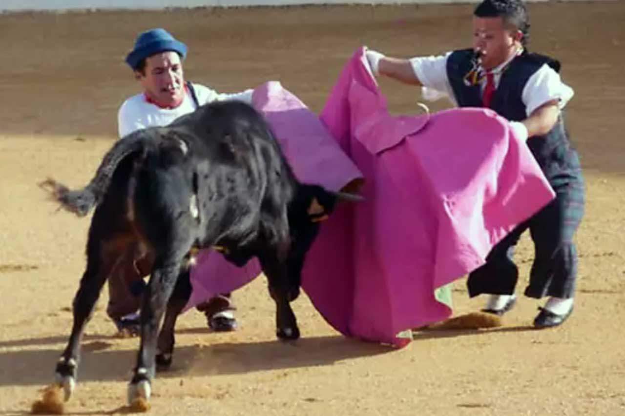 Imagen de archivo del espectáculo del 'bombero torero'