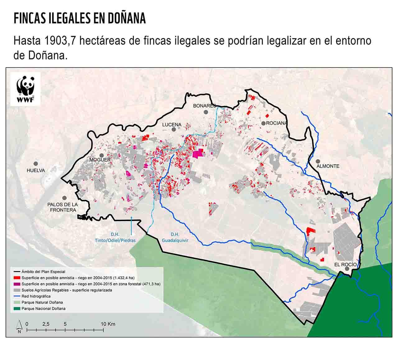 Fincas ilegales en Doñana