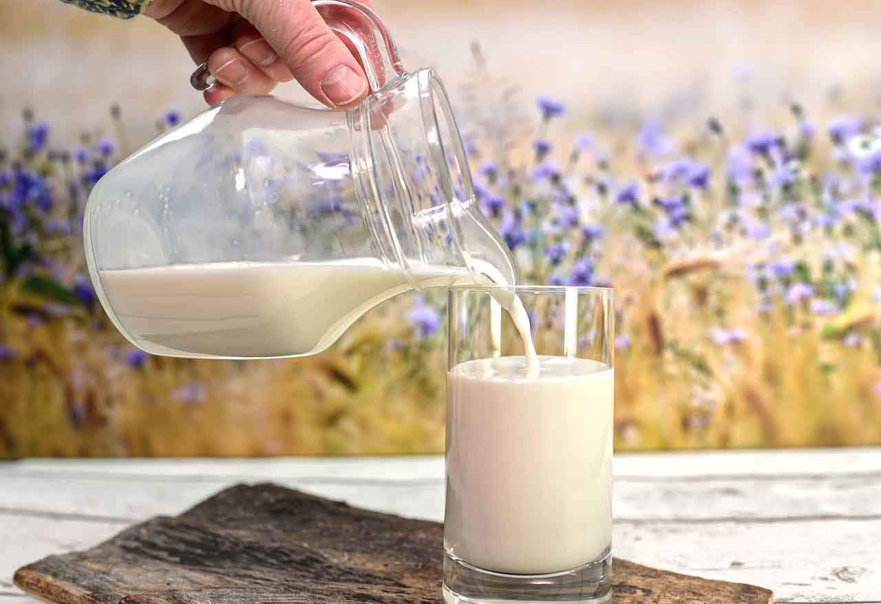 Tomar leche en edad adulta / Foto: Pixabay