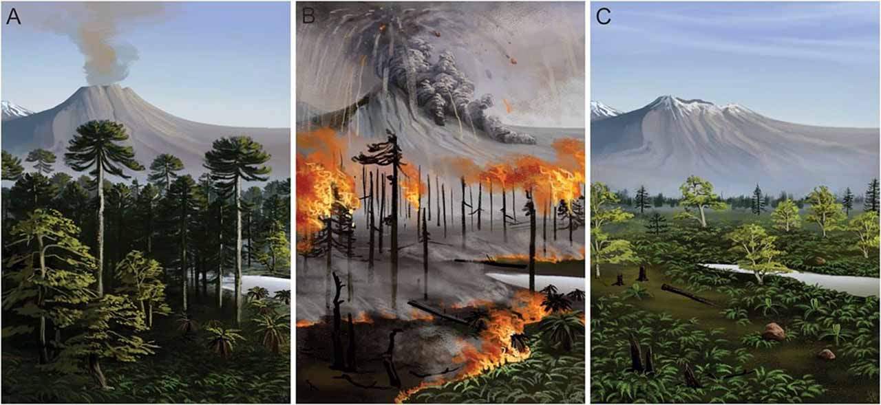 Paisaje de la Antártida durante el Cretácico dominado por el vulcanismo y los incendios / Imagen: Frontiers in Earth Science