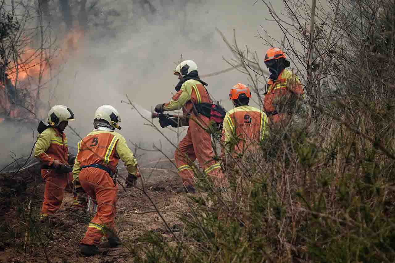 Bomberos de Asturias trabajan en la extinción de incendio forestal / Foto: Xuan Cueto - EP