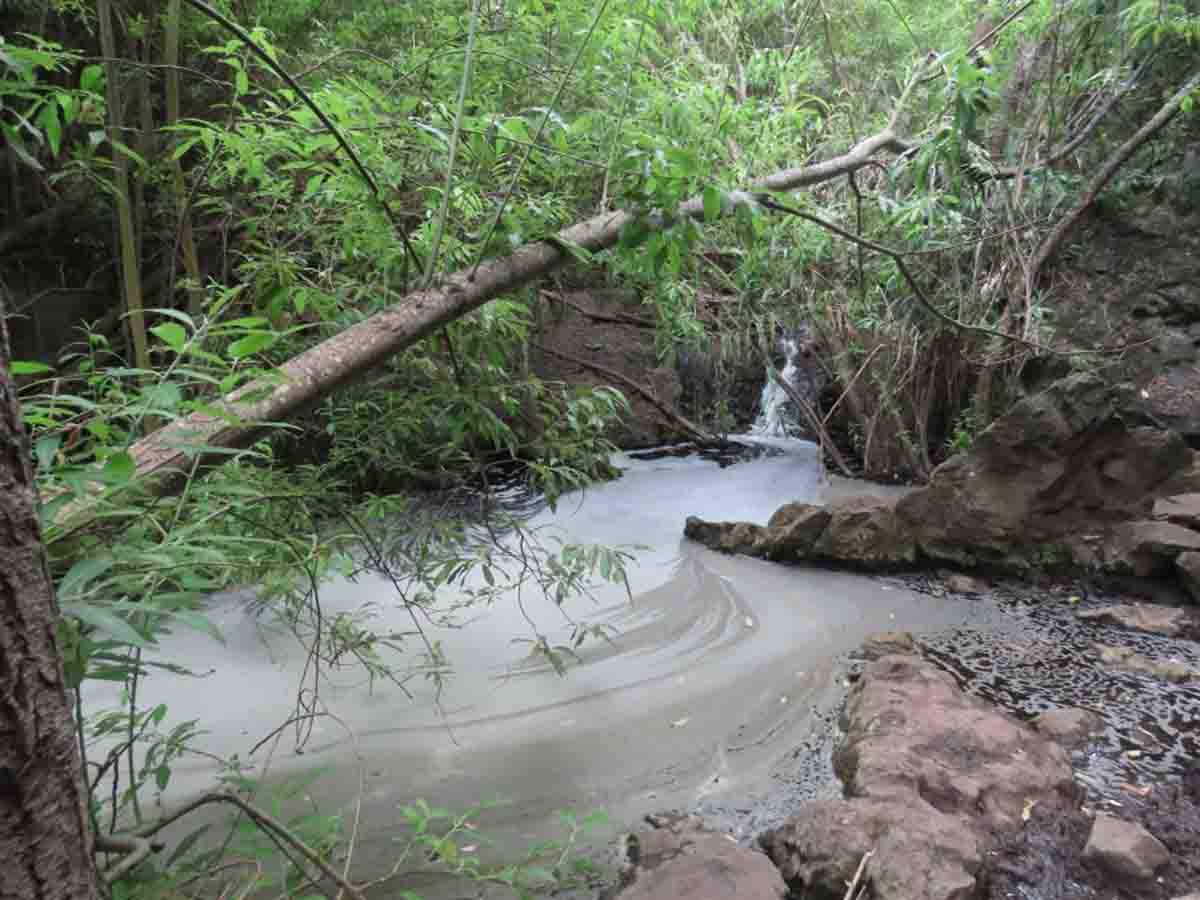 Vertido de sosa caustica en el Barranco de Azuaje, Reserva Natural Especial de la isla de Gran Canaria / Foto:  La Vinca-Ecologistas en Acción