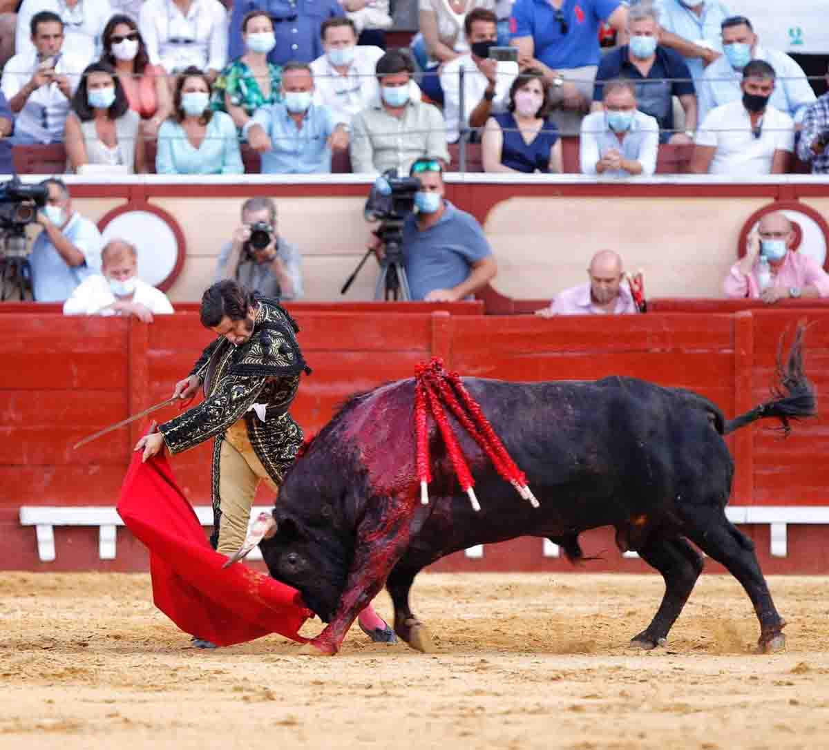 "La tauromaquia, un evento donde se tortura hasta la muerte a un animal" Fundación Franz Weber. Retirar para menores cualquier promoción taurina / Foto: EP