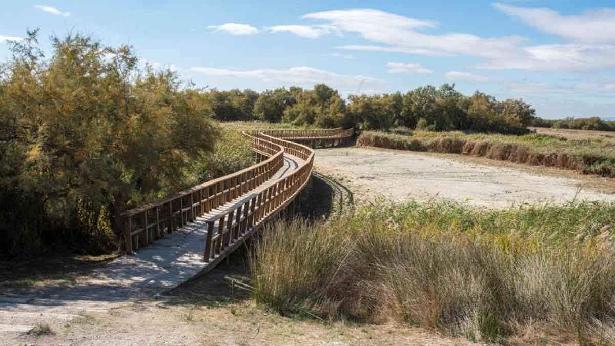 El humedal de Las Tablas de Daimiel en la actualidad