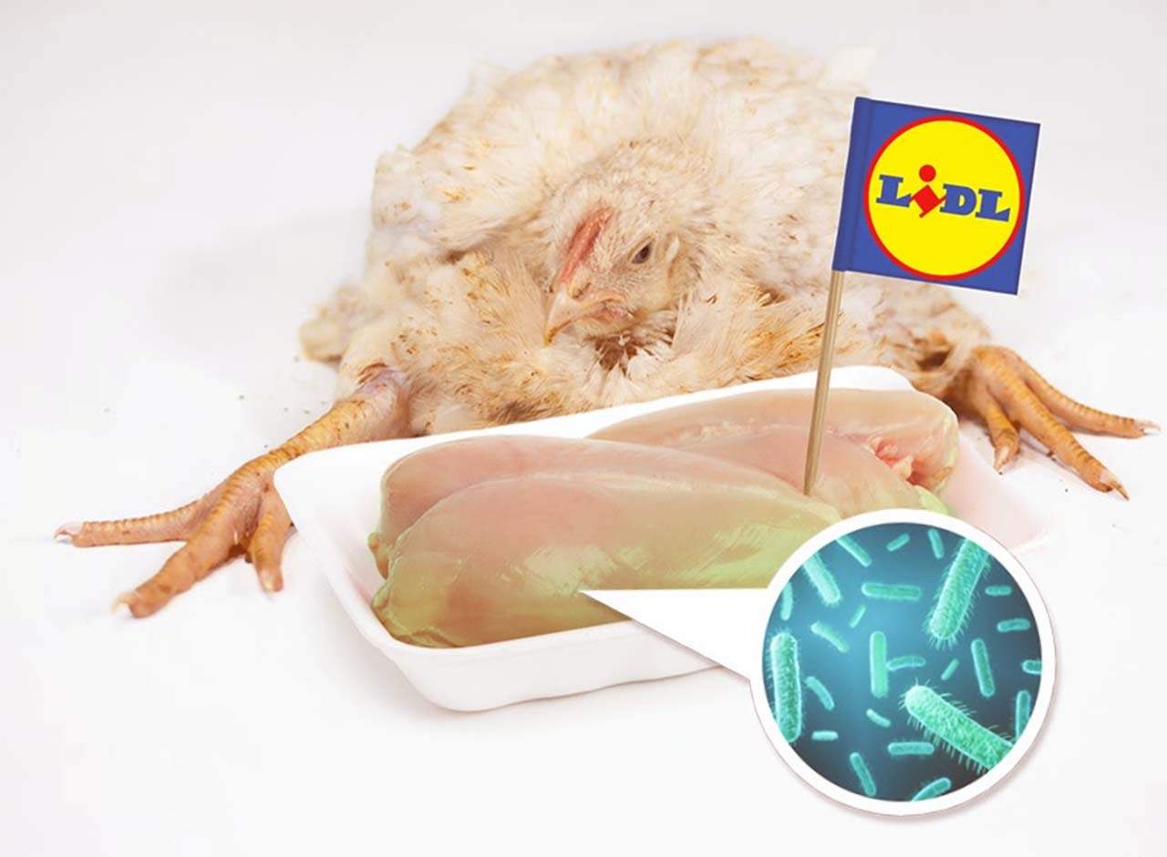 Estas bacterias pueden afectar a todas las personas, no sólo a clientes de Lidl / Imagen: Equalia