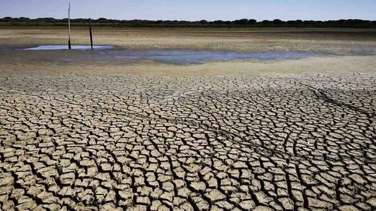 Imagen de archivo de la sequía en municipios de la Sierra de Huelva / Foto: EP
