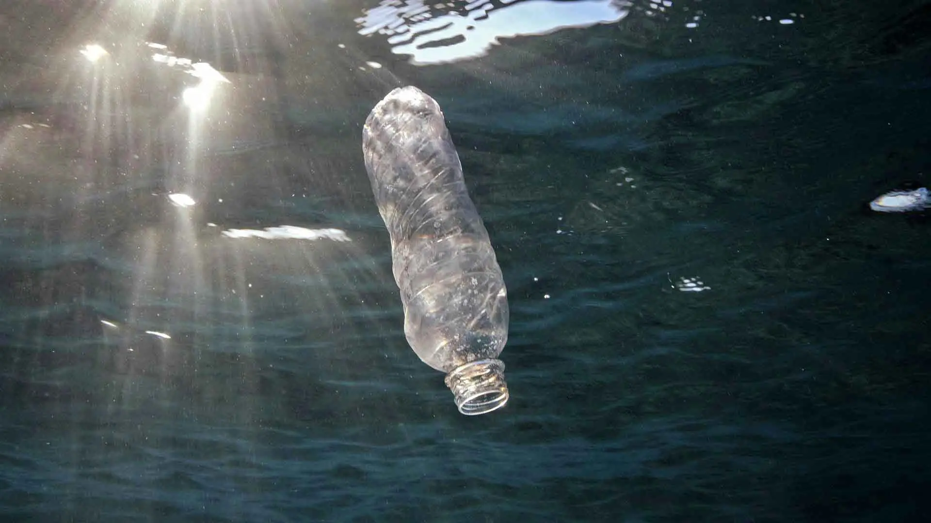Una botella de plástico flota bajo la superficie del Mar Rojo frente a Egipto y es iluminada por el sol / Foto: EP