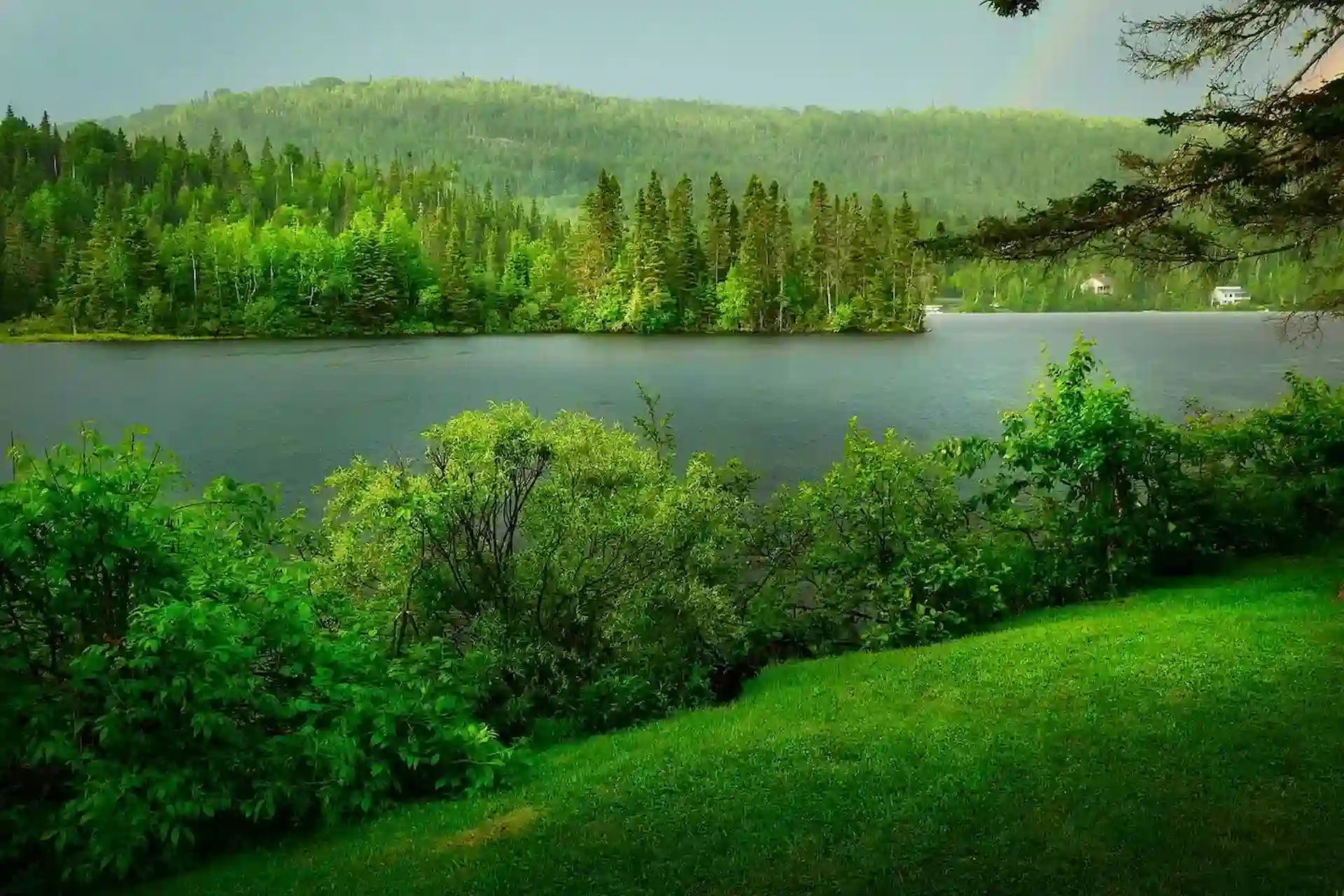 Paisaje de naturaleza. Día Internacional de la Diversidad Biológica 2024 / Foto: PB