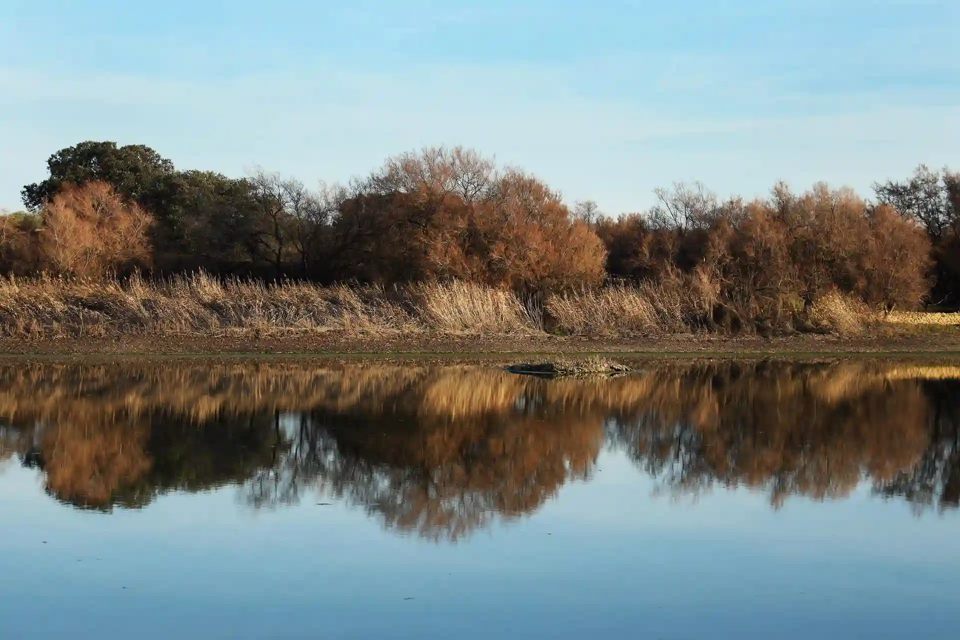 Humedal del parque nacional de las Tablas de Daimiel, a 29 de diciembre de 2022, en Ciudad Real, Castilla La Mancha (España). Día Europeo de los Parques / Foto: EP