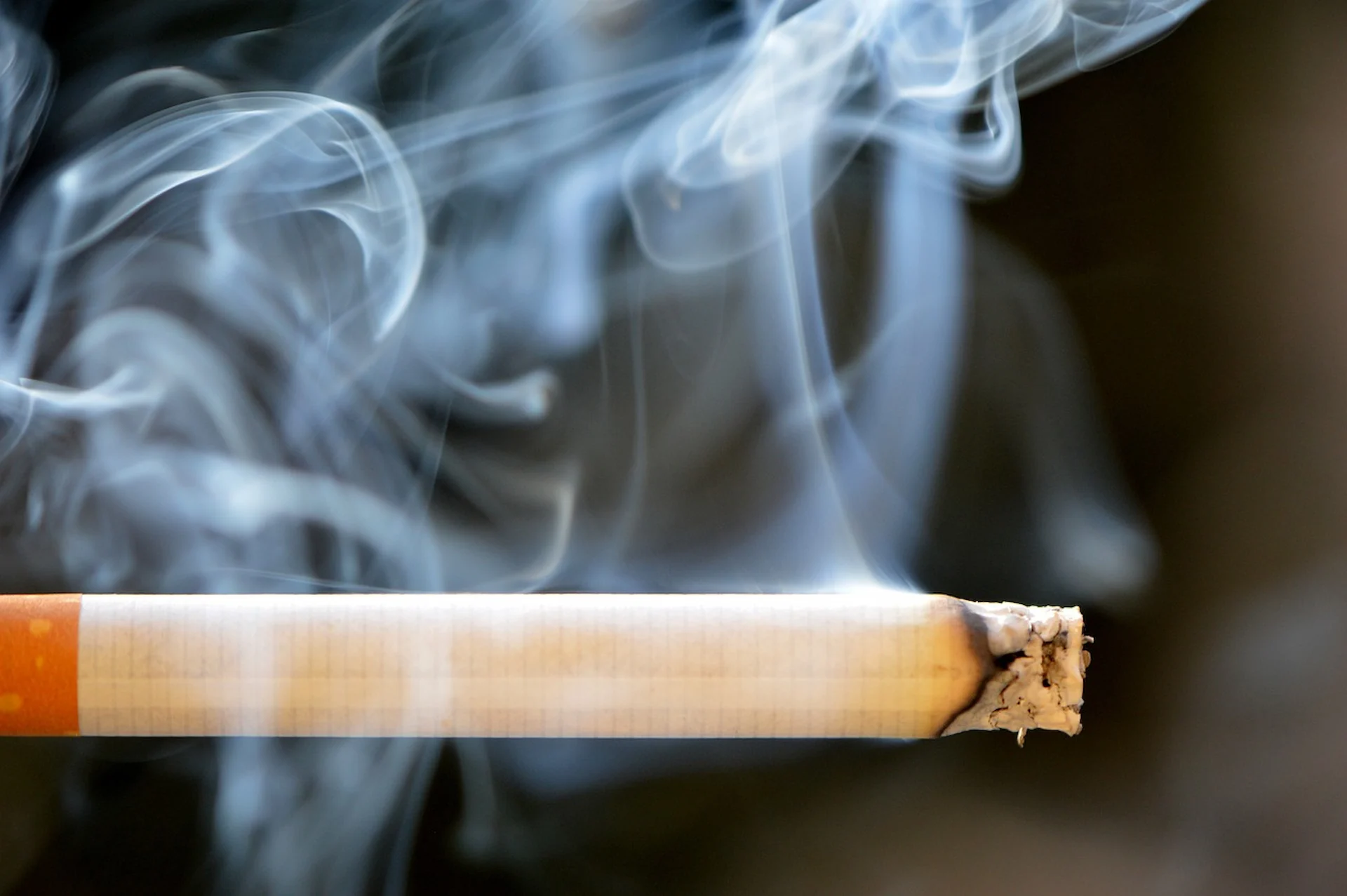 Cigarrillo. El Día Mundial sin Tabaco es una jornada que busca concienciar sobre los efectos negativos del tabaco / Foto: PB