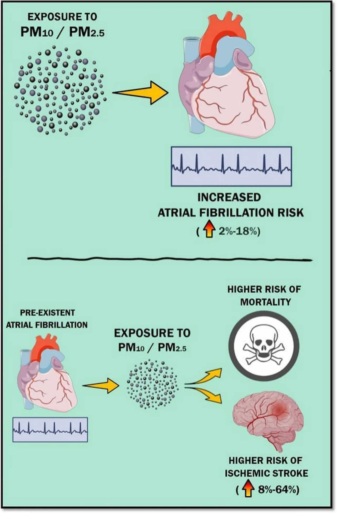 Panel superior = Asociación entre la exposición a partículas y la fibrilación auricular de nueva aparición.Panel inferior = Riesgo de mortalidad y accidente cerebrovascular en pacientes con fibrilación auricular preexistente en relación con la exposición a partículas / Imagen: Science of the Total Enviroment