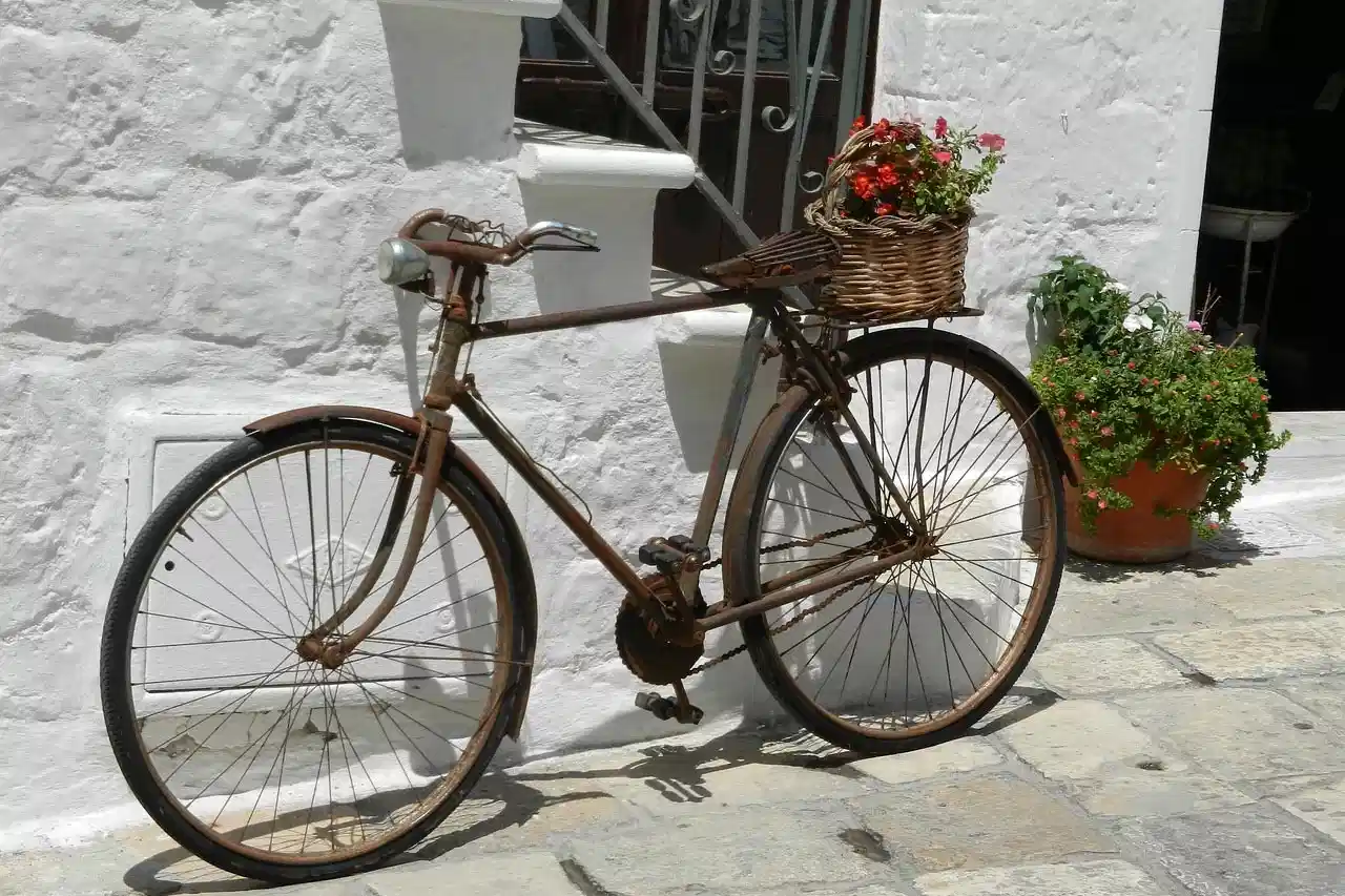 Bicicleta. Día Mundial de la Bicicleta 2024 / Foto: PB