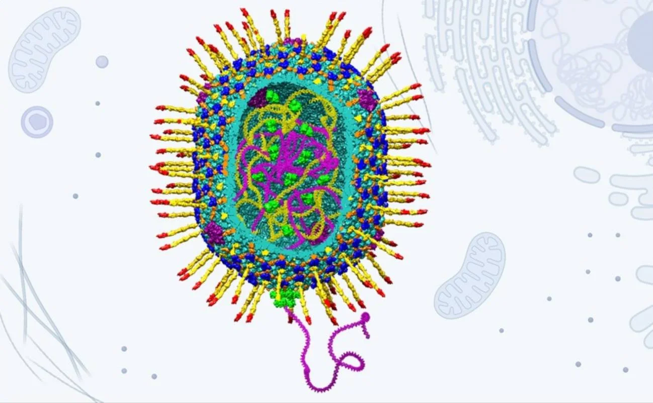 Like virus. Вирус поражающий бактерии. Вирусный вектор. Клеточная терапия. Терапия генами и клетками..