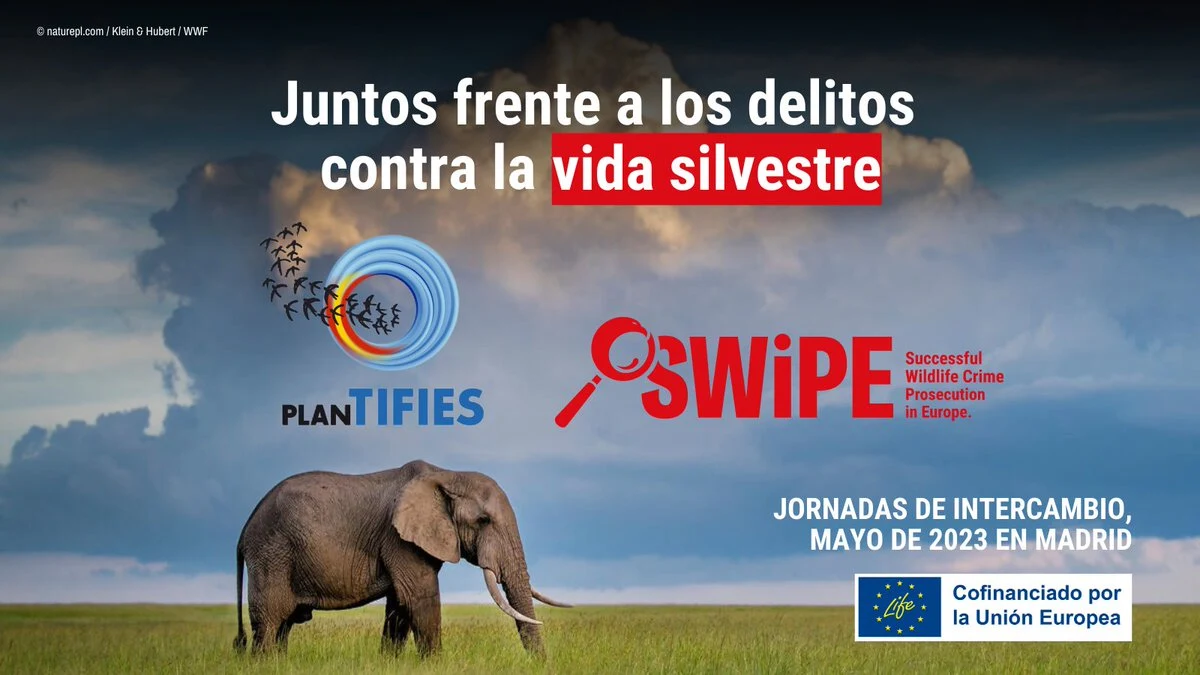 Jornadas técnicas sobre delitos contra la vida silvestre / Imagen: WWF