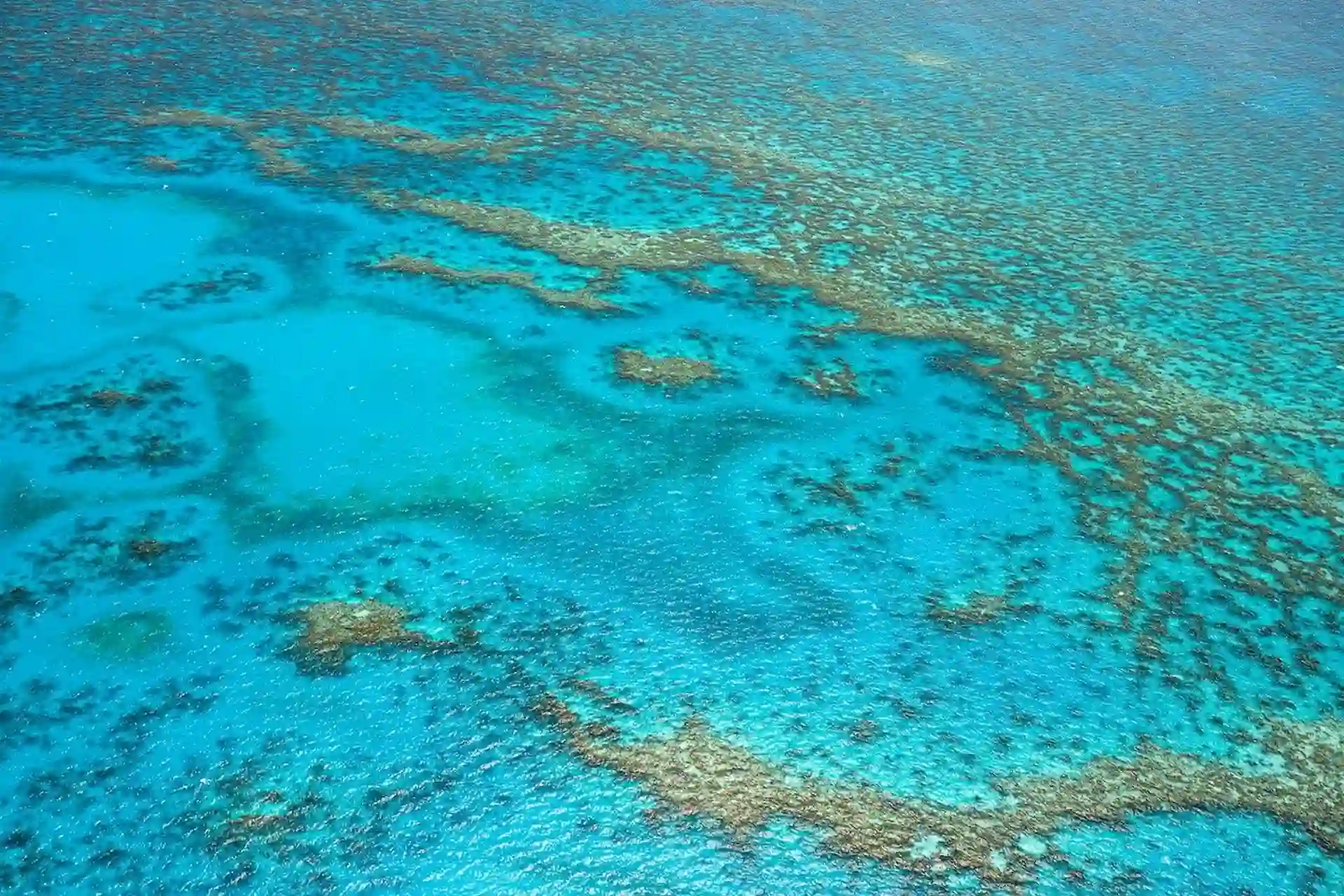 Vista aérea de arrecifes de coral. Día Mundial de los Arrecifes / Foto: PB