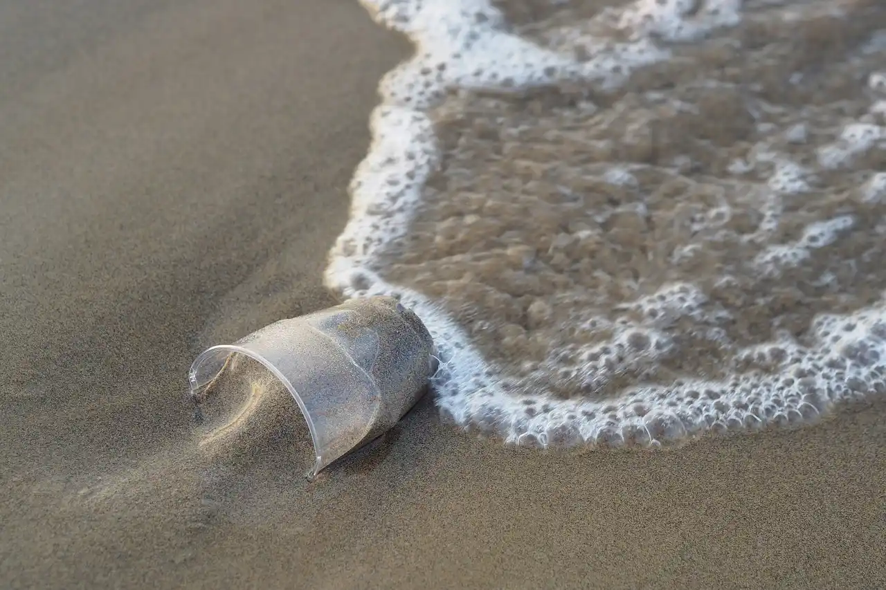 Vaso de plástico en la playa. 5 de junio de 2023: Día Mundial del Medio Ambiente / Foto: PB