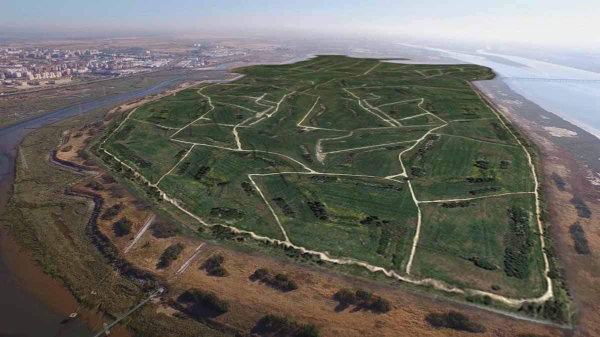 Restauración ambiental de las 720 hectáreas de apilamientos de fosfoyesos / Foto: Fertiberia