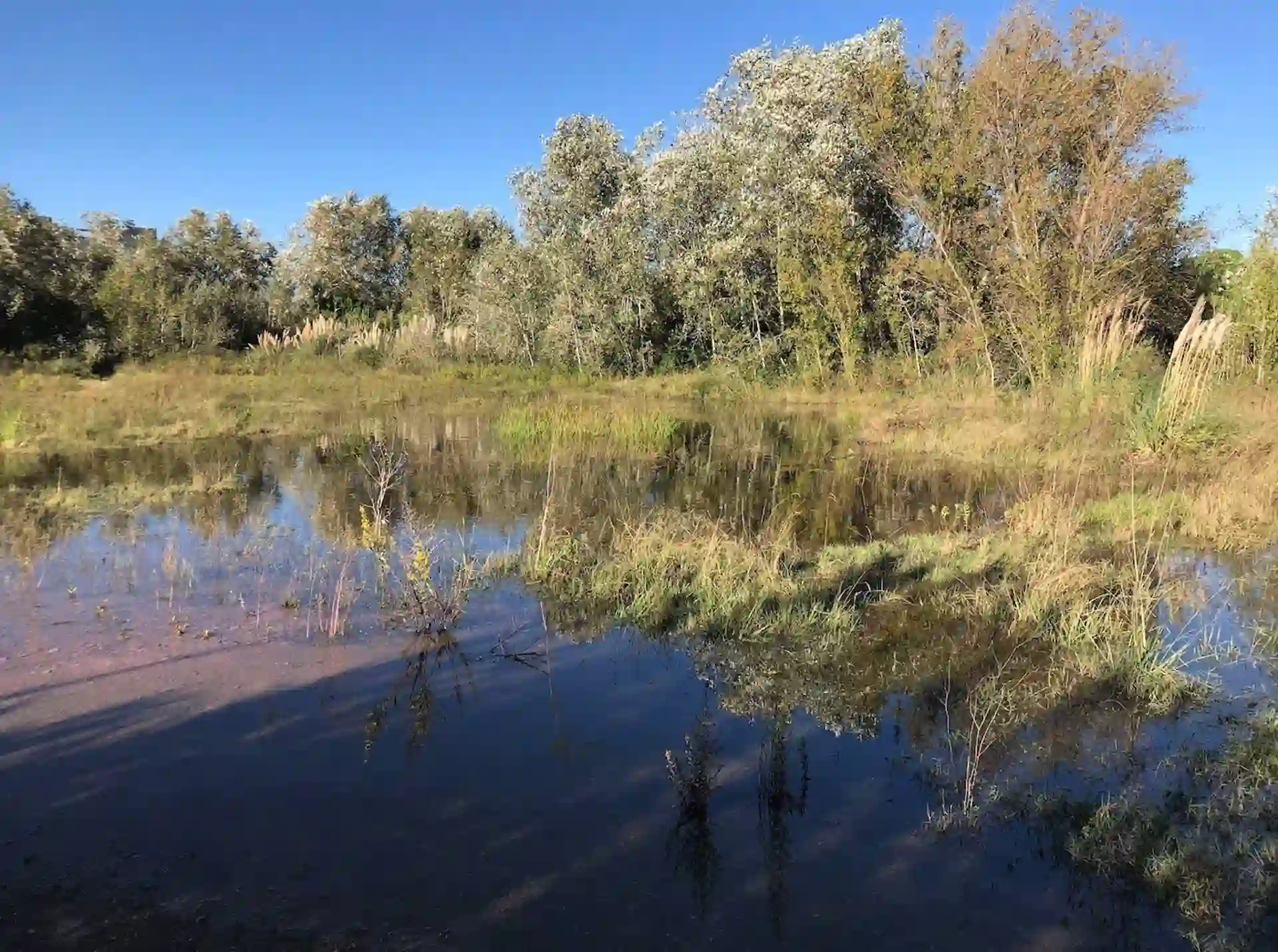 El delta del río Llobregat, en el Prat de Llobregat (Barcelona) / Foto: Ecologistes de Catalunya