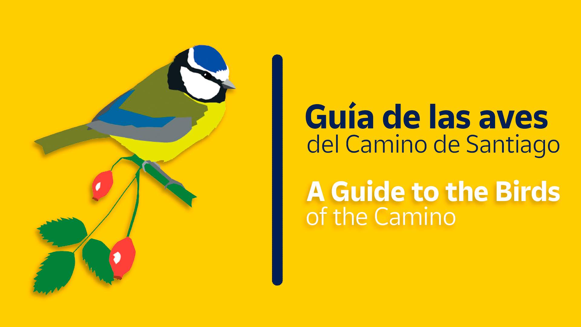 Guía de Aves del Camino de Santiago de Correos