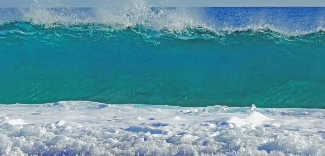 World Oceans Day 2023