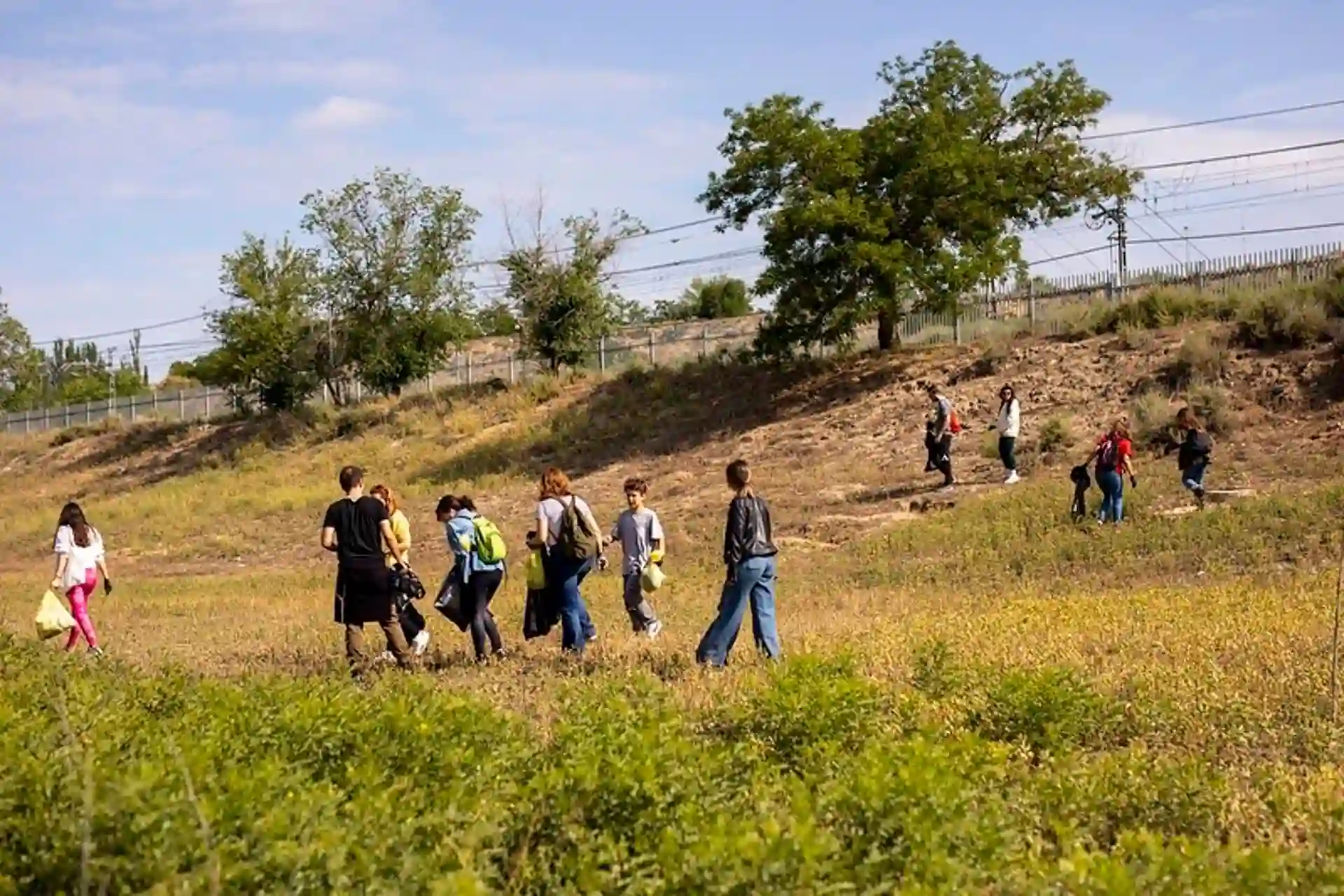 Retiradas 80 toneladas de 'basuraleza' por voluntarias y voluntarios del Proyecto Libera / Foto: Proyecto Libera