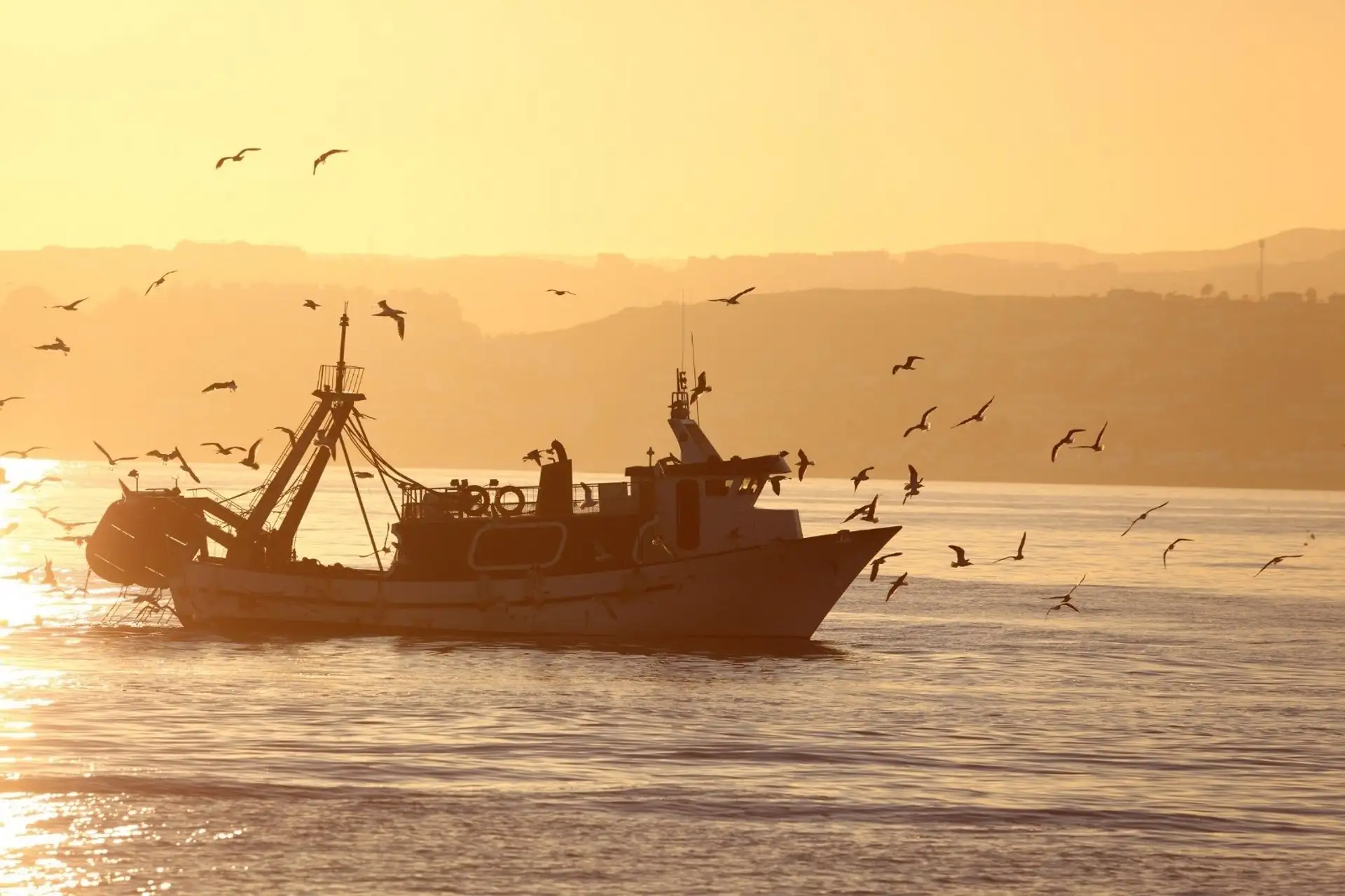 Prohibidas las ayudas a la pesca ilegal. Barco pesquero / Foto: EP