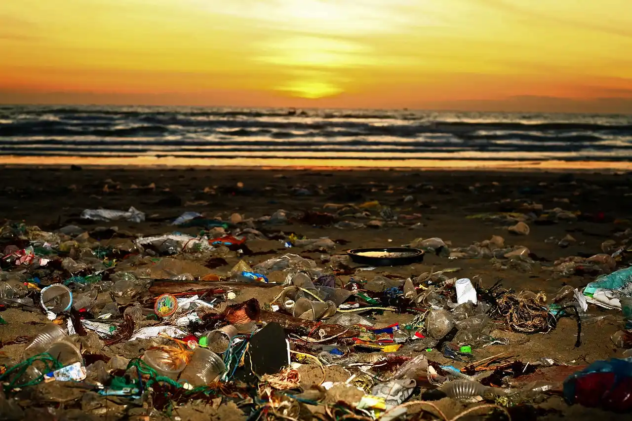 Billones de toneladas de plásticos terminan en los océanos cada año. 'Basuraleza' marina / Foto: PB