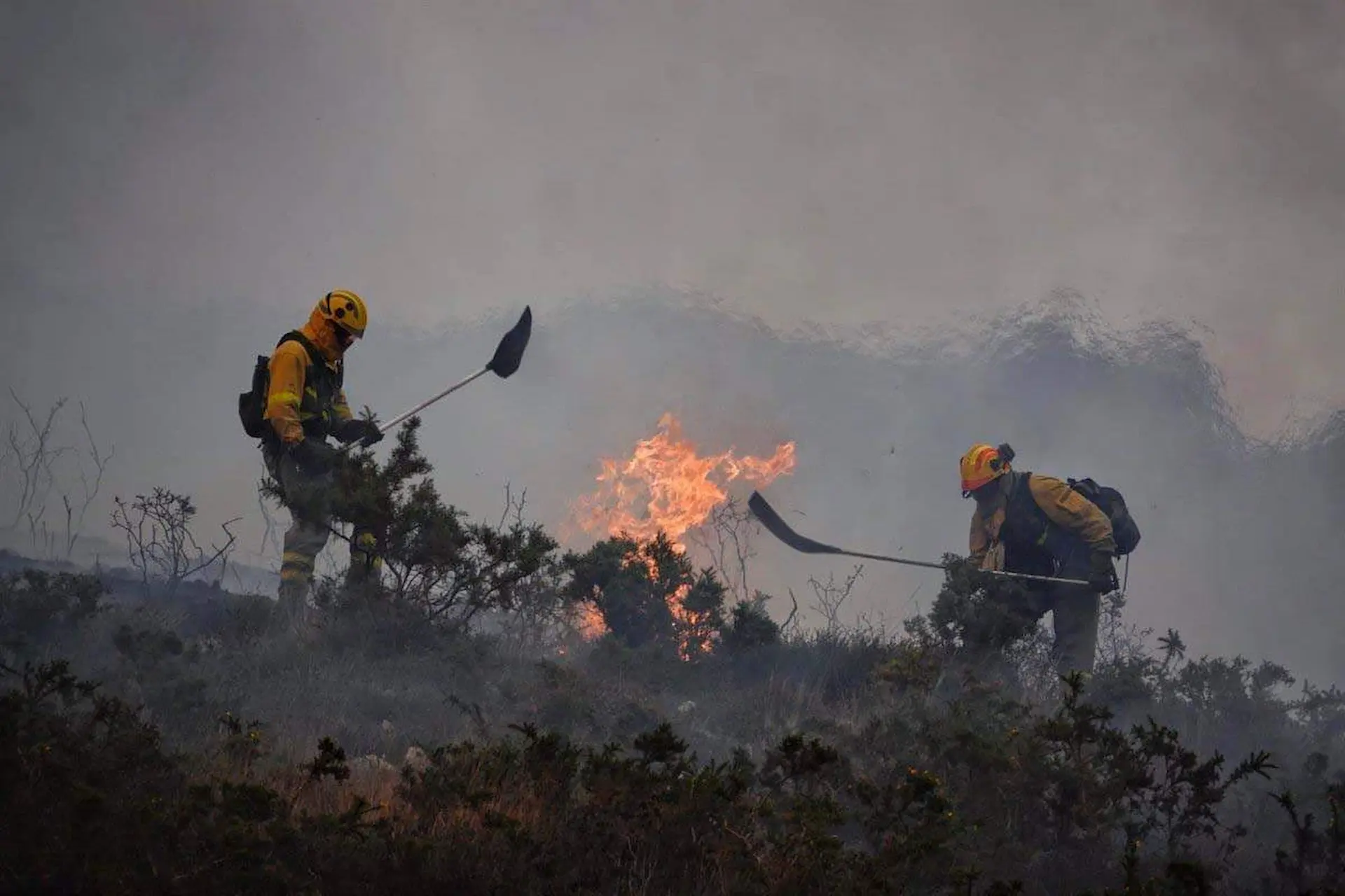 Una unidad de bomberos de Asturias trabajan en las labores de extinción de un incendio forestal / Foto: EP