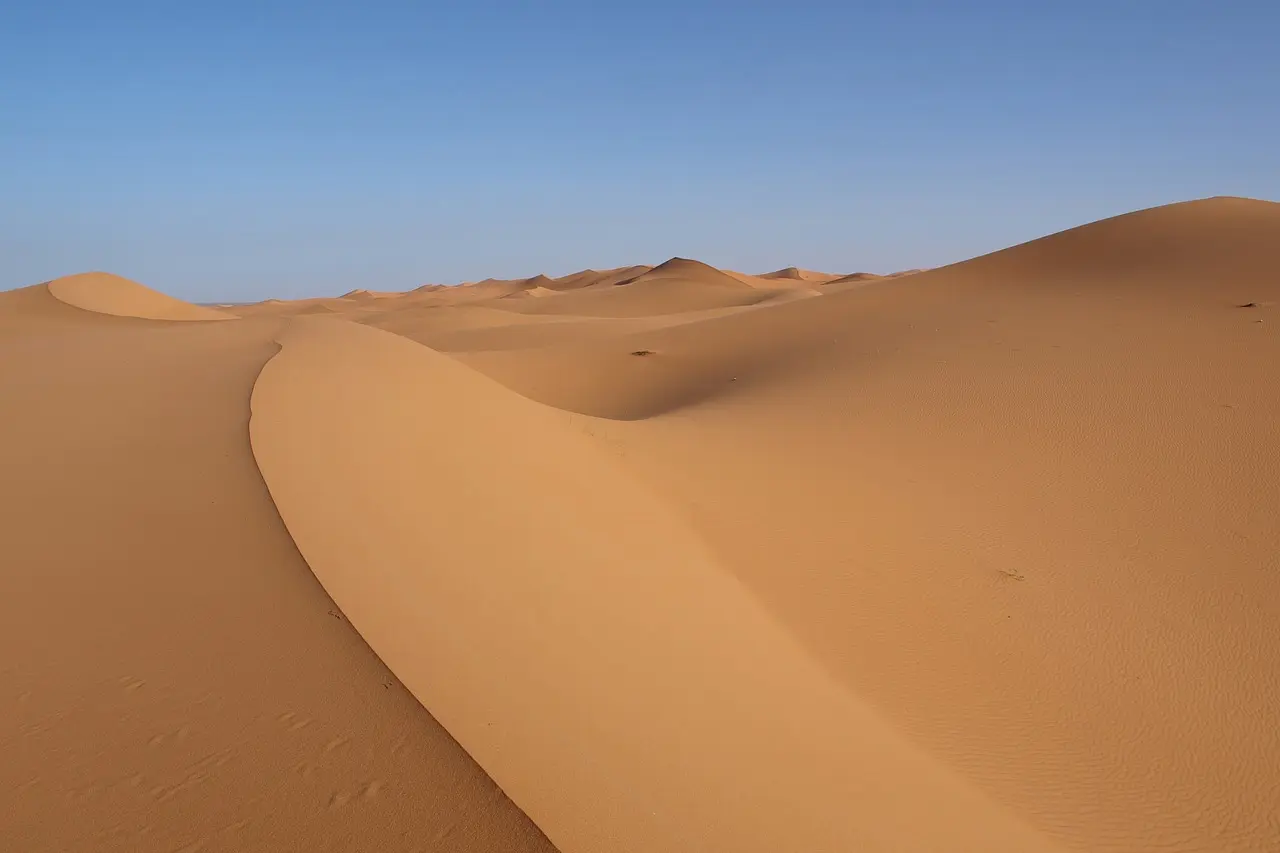 Desierto del Sahara. Día Mundial de Lucha contra la Desertificación y la Sequía / Foto: PB