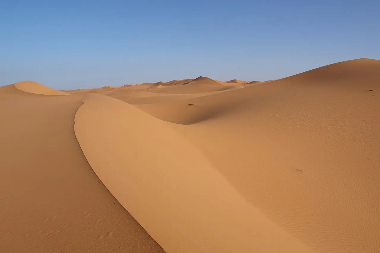Desierto del Sahara. Día Mundial de Lucha contra la Desertificación y la Sequía 2024 / Foto: PB