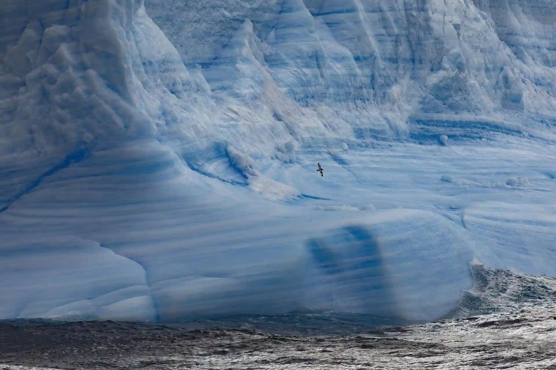 Falta de avance en la protección de la Antártida / Foto: EP