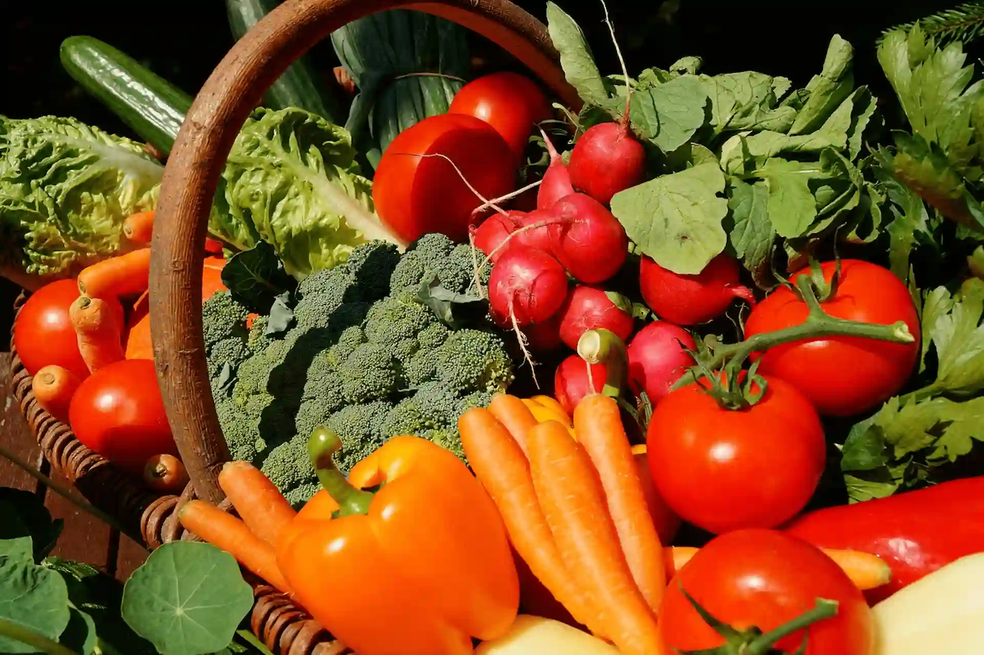 Alimentos frescos. El Día de la Gastronomía Sostenible / Foto: PB