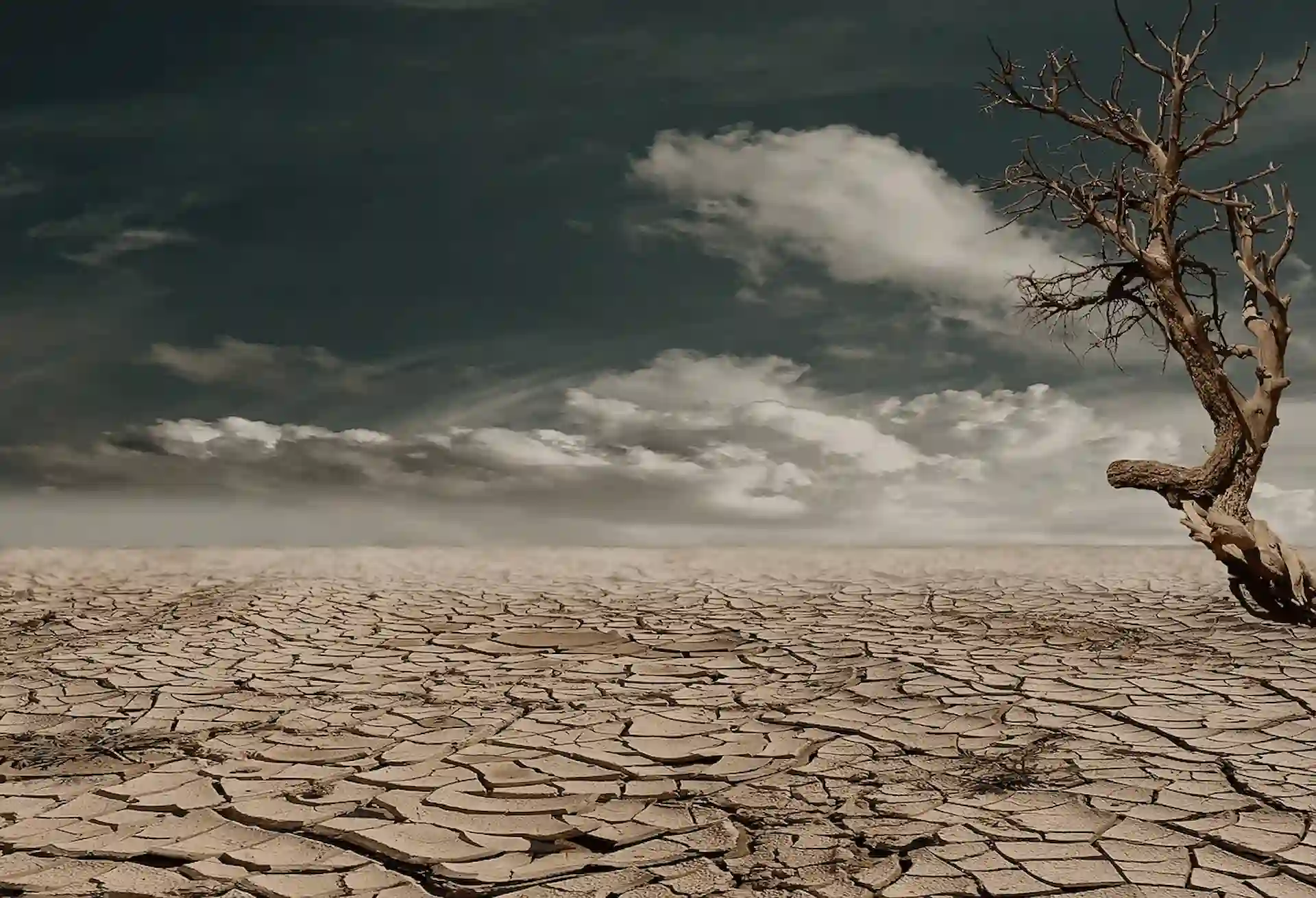 Imagen Día Mundial de Lucha contra la Desertificación y la Sequía / Foto: PB